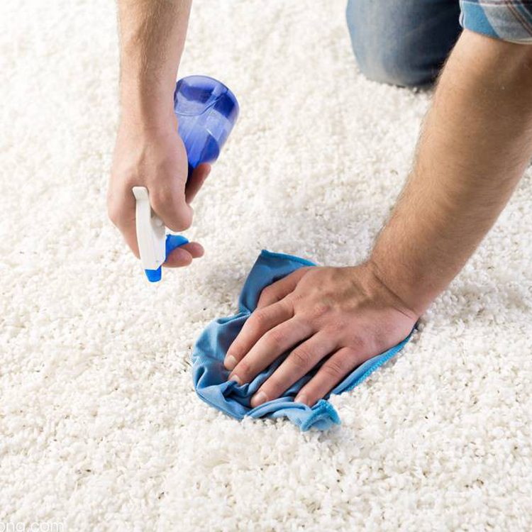 Carpet cleaning is really easy