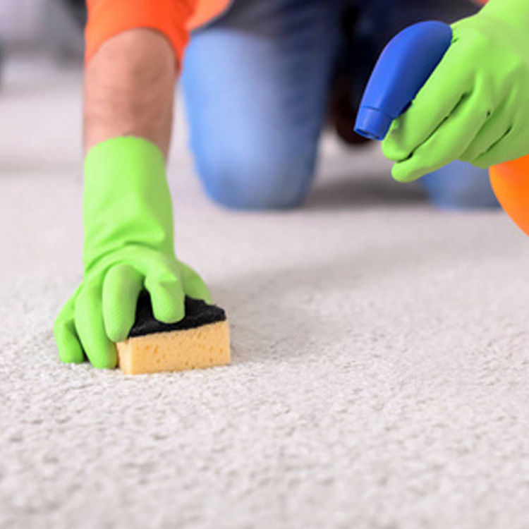3 Ways to Clean carpet without a Vacuum Cleaner