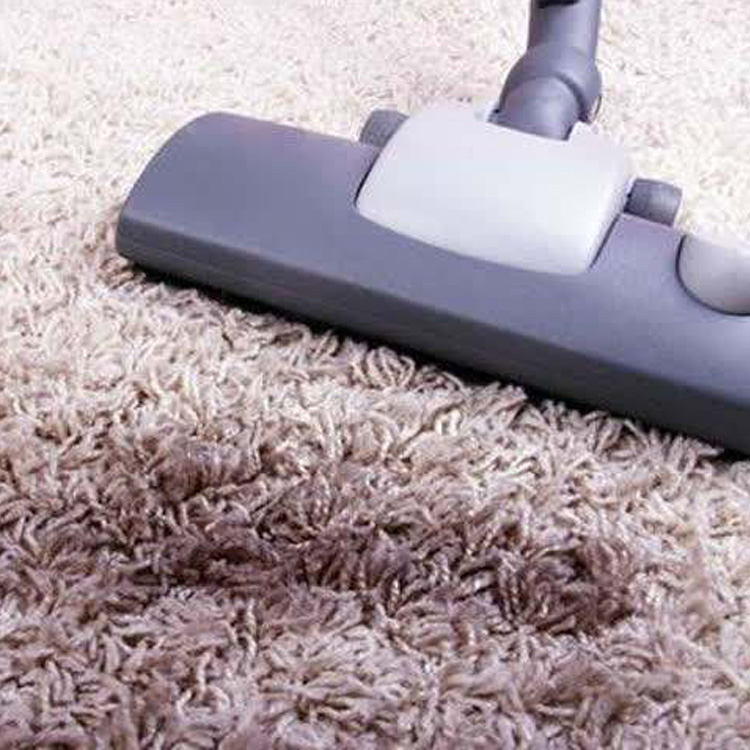 How to Remove Pet Hair from Carpet