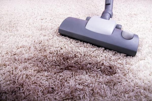 Clean and Maintain The Carpet