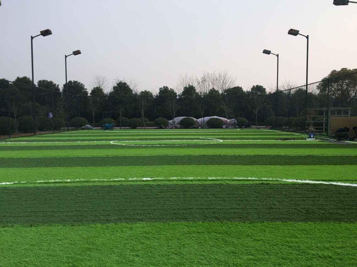 Futsal Artificial Grass