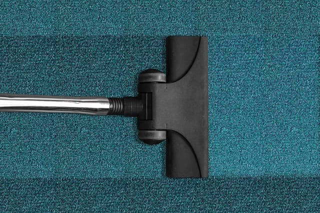 The Truth About WHY To Professionally Carpet Clean-I