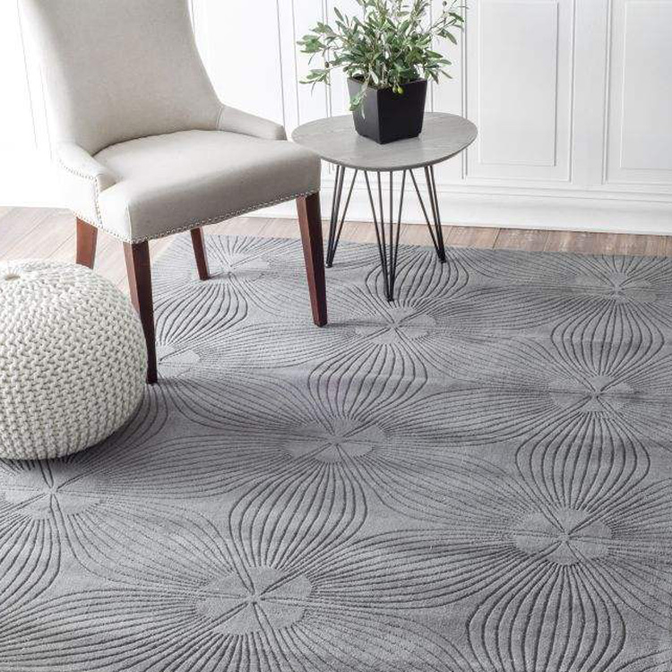 Why You Should Get an Area Rug
