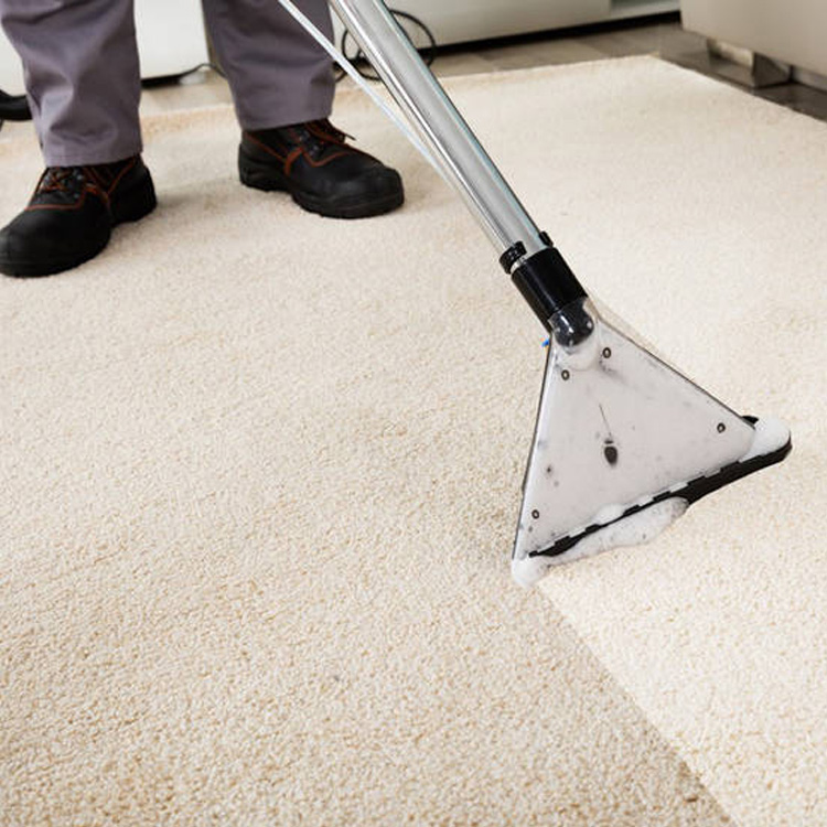 How to Remove Pet Hair from Carpet