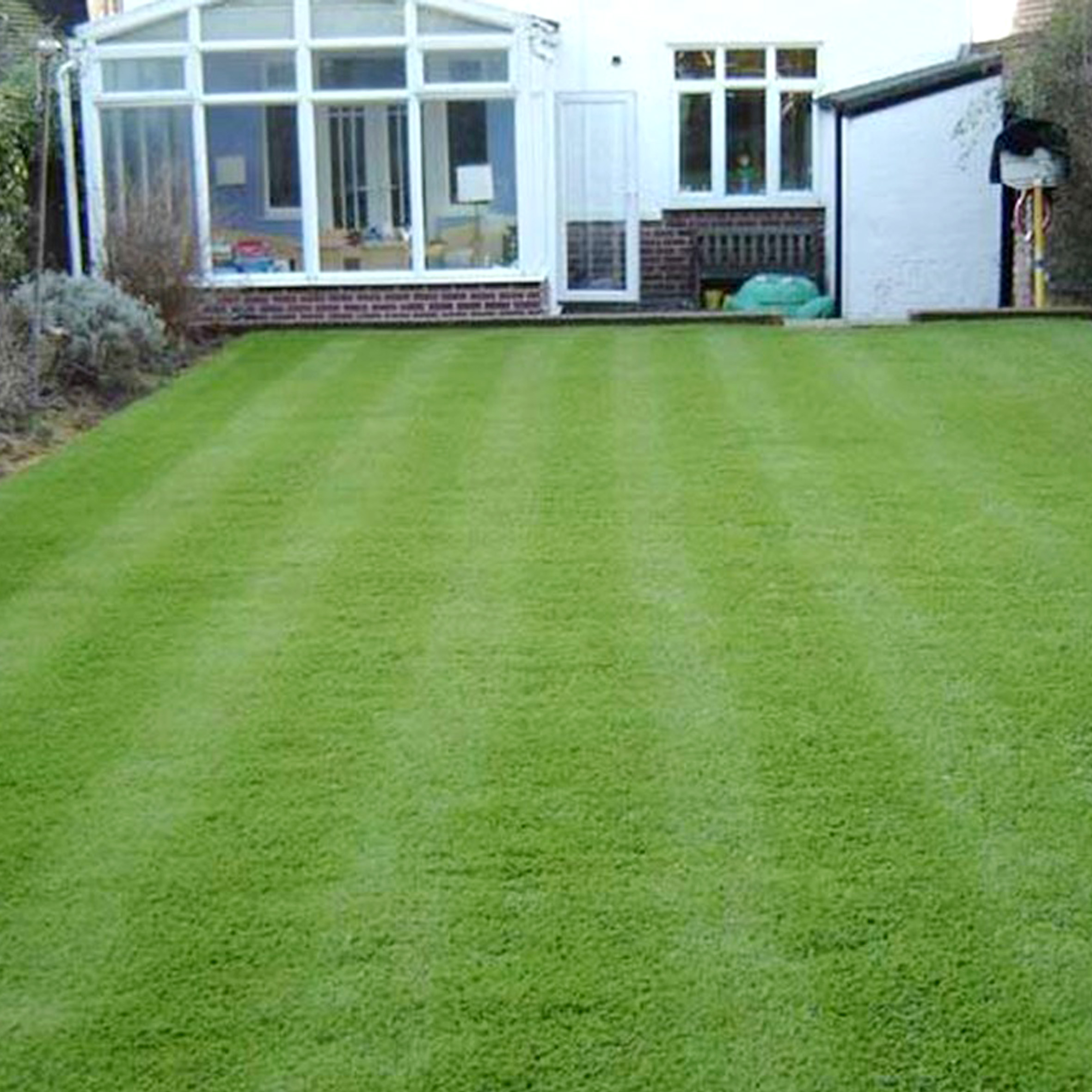 Artificial Grass Maintenance: How To Clean Artificial Grass Guide
