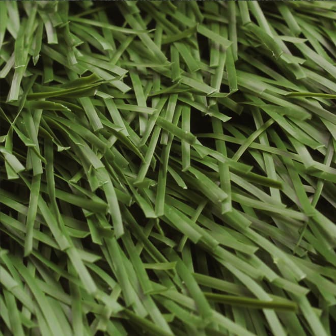 ZS50, football field artificial grass