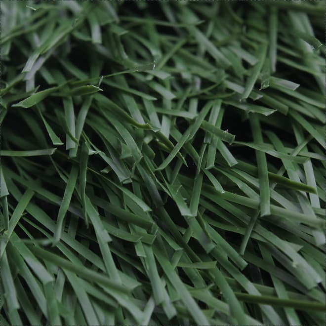 ZS50, football field artificial grass