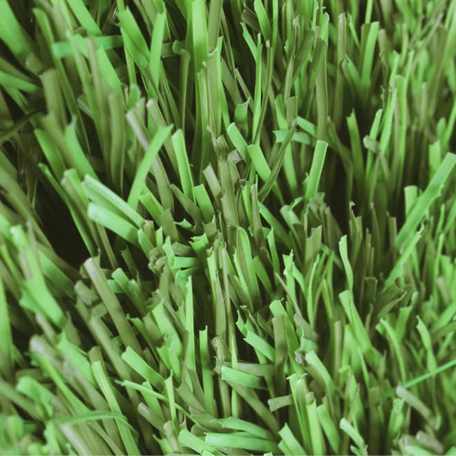 ZSBC-2-50, sport artificial grass for football