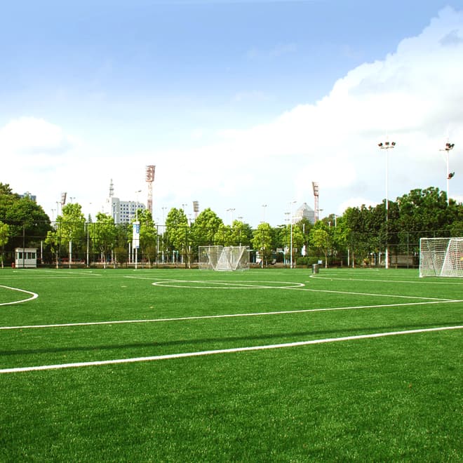 ZSBC-2-50 football