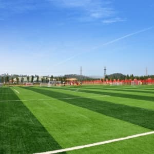 ZS50, football field artificial grass