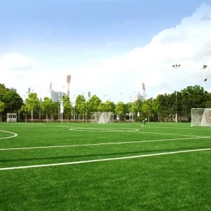 ZSBC-2-50, sport artificial grass for football