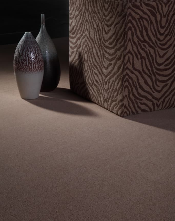Cleaning  Solutions  for  Wool  Carpet