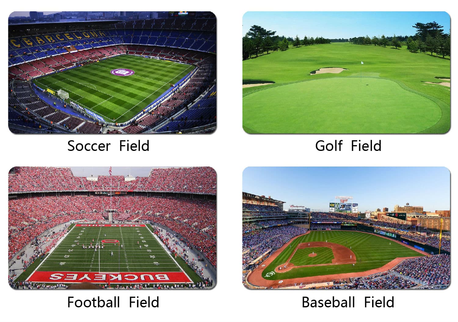 Sport Artificial grass