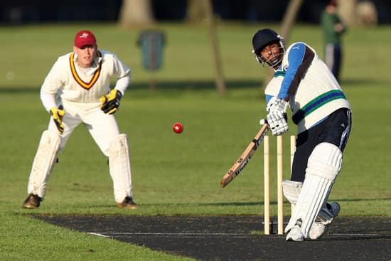 Cricket artificial turf