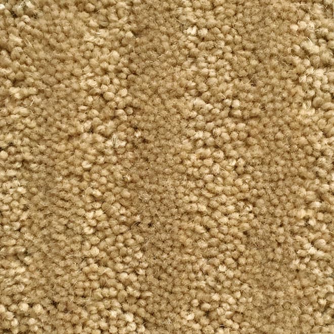 ZS811, Wool blend commercial grade carpet for hotel