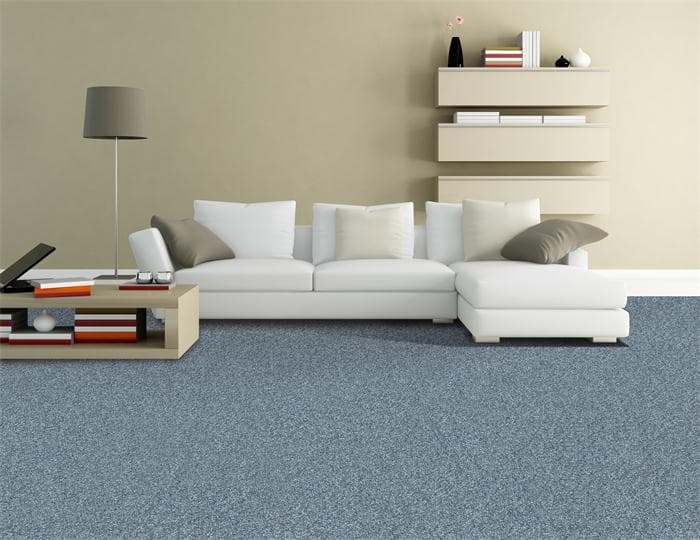 loop pile carpet  