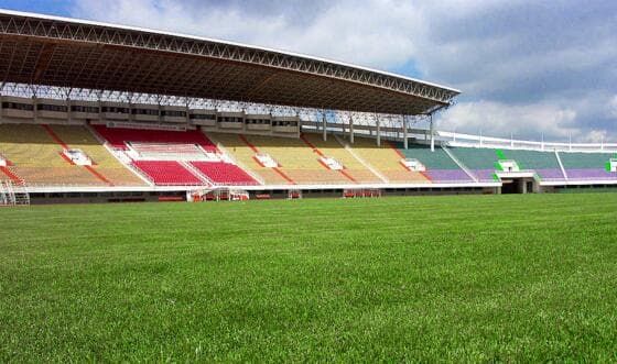 Natural turf or Synthetic grass – Which is right for you?