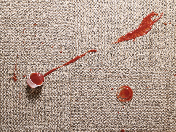 The Truth About WHY To Professionally Carpet Clean-II