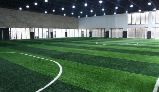 Artificial Grass for Indoor Field