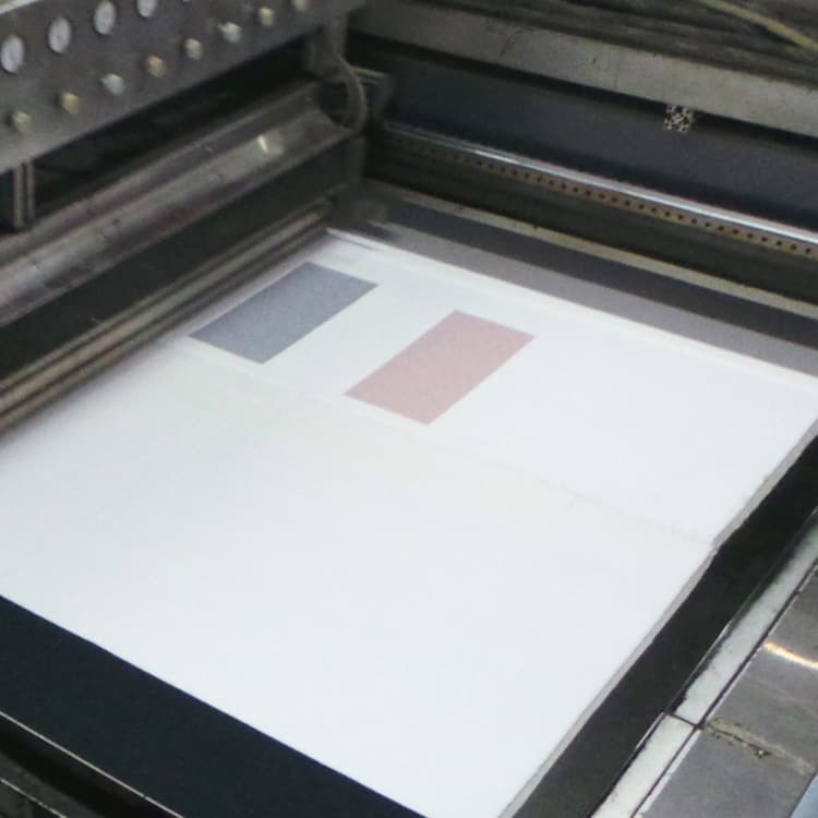 Printed Carpet