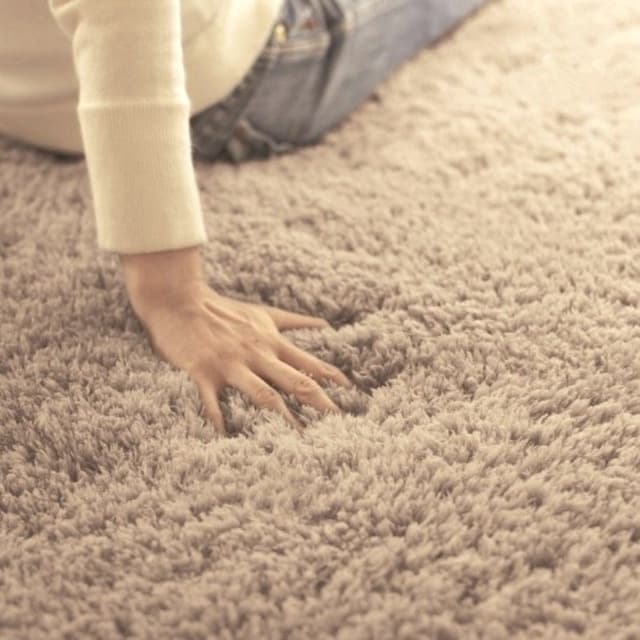 -Soft-Area-Rug-Bedroom-Living-Room- -Soft-Area-Rug-Bedroom-Living-Room-