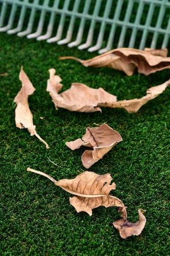 Artificial grass Artificial grass