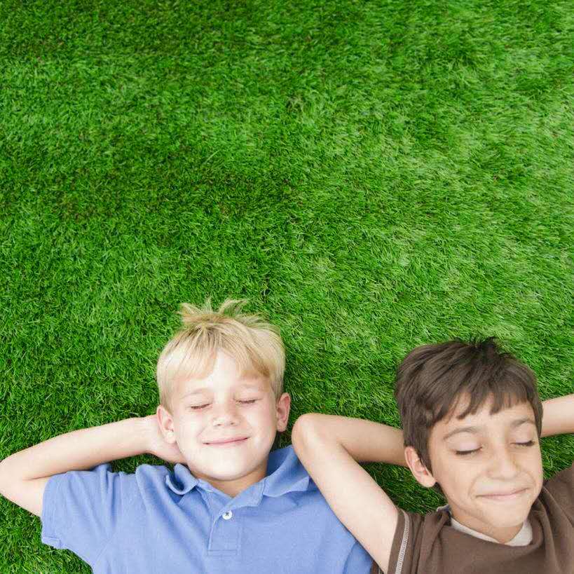 Landscaping artificial grass